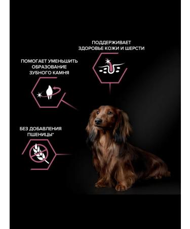 PRO PLAN Feed for small dogs with sensitive skin 3 kg x 2 pcs - Buy Online on GoSupps.com