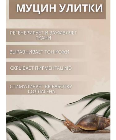 SOFFI-BEAUTY Tonal BB face cream - Buy Online on GoSupps.com