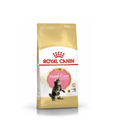 ROYAL CANIN Dry feed Main Coon Kitten for kittens of Maine-kun rocks 4 kg - Buy Online on GoSupps.com