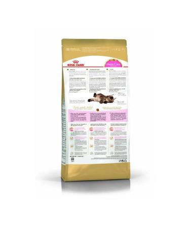 ROYAL CANIN Dry feed Main Coon Kitten for kittens of Maine-kun rocks 4 kg - Buy Online on GoSupps.com
