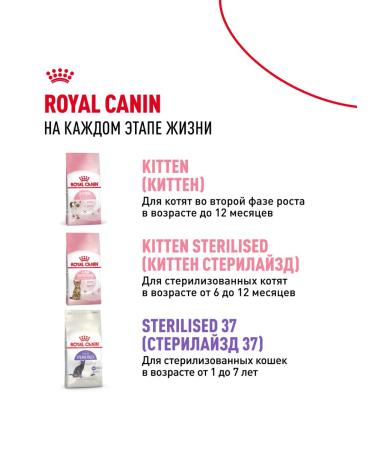 ROYAL CANIN Dry food Kitten Sterilized for sterilized kittens - Buy Online on GoSupps.com