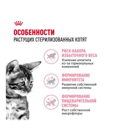 ROYAL CANIN Dry food Kitten Sterilized for sterilized kittens - Buy Online on GoSupps.com