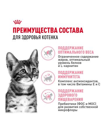 ROYAL CANIN Dry food Kitten Sterilized for sterilized kittens - Buy Online on GoSupps.com