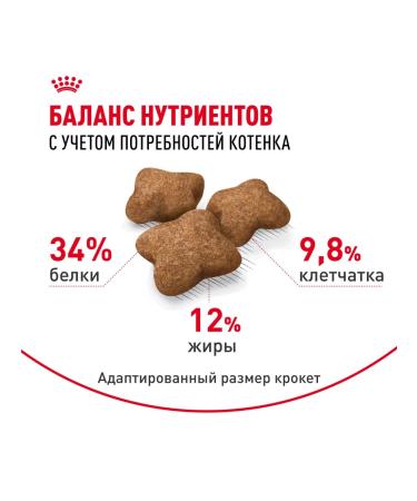 ROYAL CANIN Dry food Kitten Sterilized for sterilized kittens - Buy Online on GoSupps.com