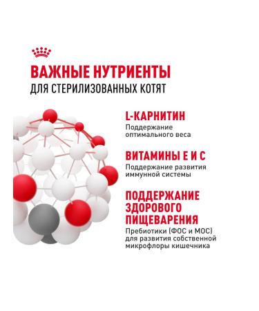 ROYAL CANIN Dry food Kitten Sterilized for sterilized kittens - Buy Online on GoSupps.com