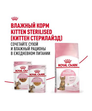 ROYAL CANIN Dry food Kitten Sterilized for sterilized kittens - Buy Online on GoSupps.com