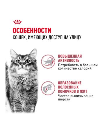ROYAL CANIN Dry Fit food for cats who are on the street chicken 4 kg - Buy Online on GoSupps.com