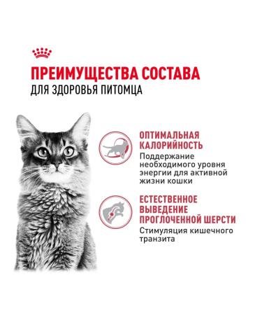 ROYAL CANIN Dry Fit food for cats who are on the street chicken 4 kg - Buy Online on GoSupps.com