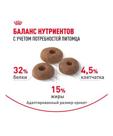 ROYAL CANIN Dry Fit food for cats who are on the street chicken 4 kg - Buy Online on GoSupps.com