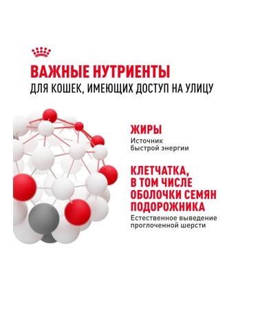 ROYAL CANIN Dry Fit food for cats who are on the street chicken 4 kg - Buy Online on GoSupps.com
