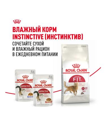 ROYAL CANIN Dry Fit food for cats who are on the street chicken 4 kg - Buy Online on GoSupps.com