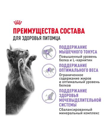 ROYAL CANIN STERILISED dry food for sterilized cats 1.2 kg - Buy Online on GoSupps.com