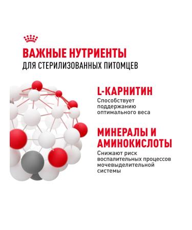 ROYAL CANIN Sterilated dry food for sterilized cats 4 kg - Buy Online on GoSupps.com