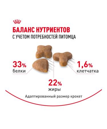 ROYAL CANIN Dry food for cats with sensitive digestion 4 kg - Buy Online on GoSupps.com