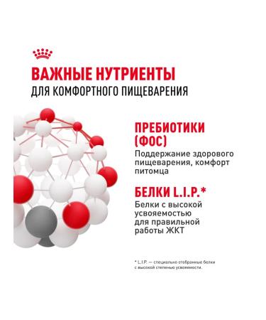 ROYAL CANIN Dry food for cats with sensitive digestion 4 kg - Buy Online on GoSupps.com