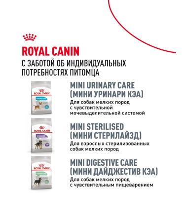 ROYAL CANIN Dry food Pug Adult for dogs of pug breed 7.5 kg - Buy Online on GoSupps.com