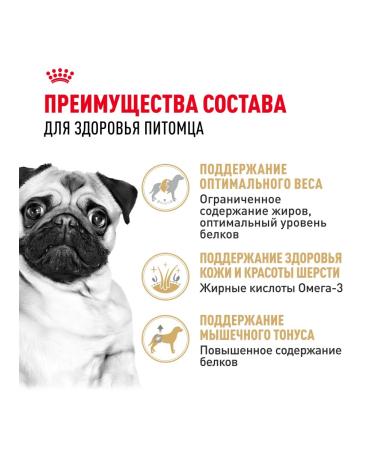 ROYAL CANIN Dry food Pug Adult for dogs of pug breed 7.5 kg - Buy Online on GoSupps.com