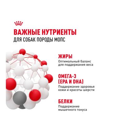 ROYAL CANIN Dry food Pug Adult for dogs of pug breed 7.5 kg - Buy Online on GoSupps.com