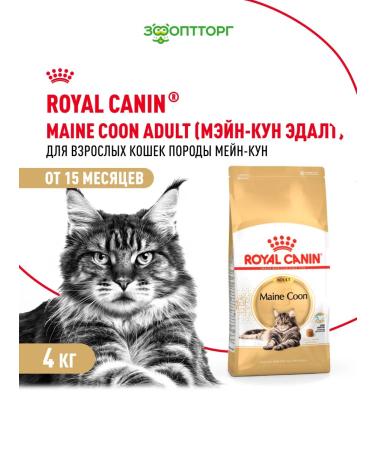 ROYAL CANIN Dry food Maine Coon for cat cats Maine-kun 4 kg