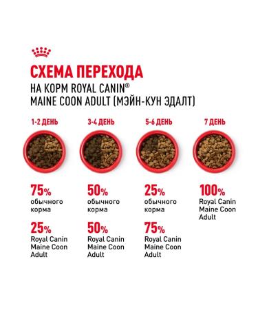 ROYAL CANIN Dry food Maine Coon for cat cats Maine-kun 4 kg - Buy Online on GoSupps.com