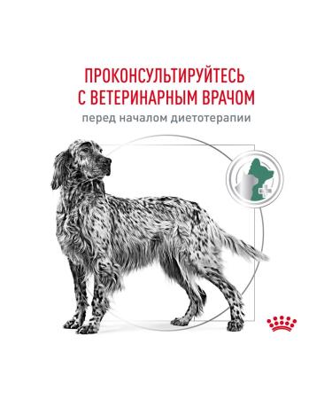 Royal Canin Veterinary Diet Dry food Satiety Weight Management for dogs 12 kg - Buy Online on GoSupps.com