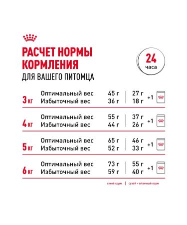 ROYAL CANIN Dry food Indoor 7+ for home cats over 7 years old 3.5 kg - Buy Online on GoSupps.com