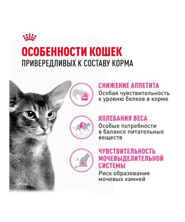 ROYAL CANIN Dry food Exigent Protein for mocking cats 4 kg - Buy Online on GoSupps.com