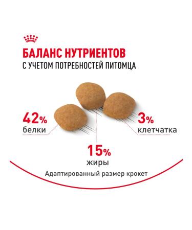 ROYAL CANIN Dry food Exigent Protein for mocking cats 4 kg - Buy Online on GoSupps.com