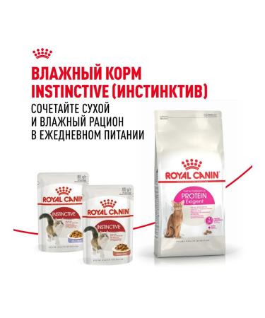 ROYAL CANIN Dry food Exigent Protein for mocking cats 4 kg - Buy Online on GoSupps.com