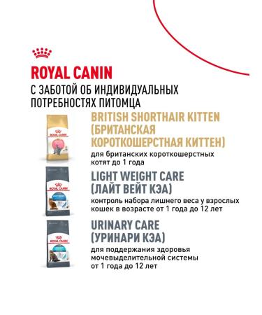 ROYAL CANIN Dry food British Shorthair for British cats 4 kg - Buy Online on GoSupps.com