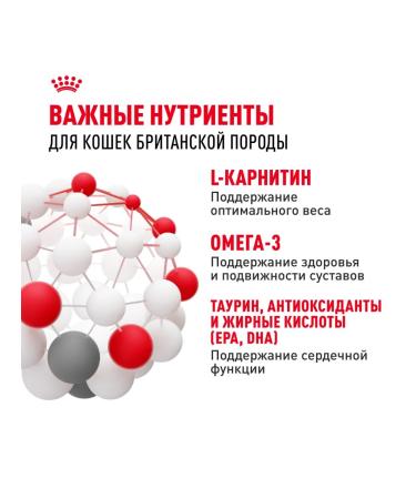 ROYAL CANIN Dry food British Shorthair for British cats 4 kg - Buy Online on GoSupps.com