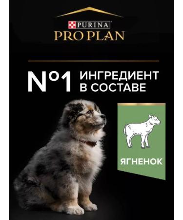 PRO PLAN Feed for medium breeds of the lamb 1.5 kg - Buy Online on GoSupps.com