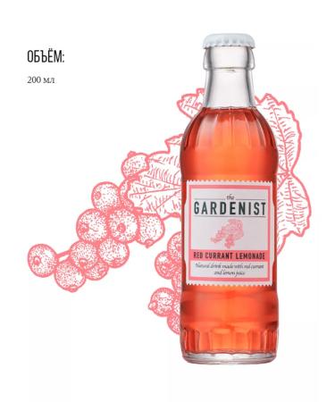 THE GARDENIST Lemonade with red currants in the Red Currant Lemonade cocktail - Buy Online on GoSupps.com