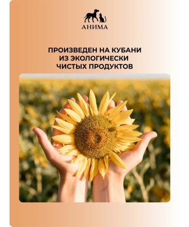 ANIMA Dry food for cats "salmon and rice" 3 kg - Buy Online on GoSupps.com