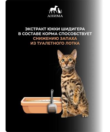 ANIMA Dry food for cats "salmon and rice" 3 kg - Buy Online on GoSupps.com