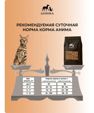 ANIMA Dry food for cats "salmon and rice" 3 kg - Buy Online on GoSupps.com