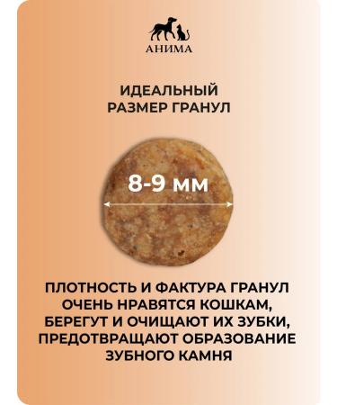 ANIMA Dry food for cats "salmon and rice" 3 kg - Buy Online on GoSupps.com