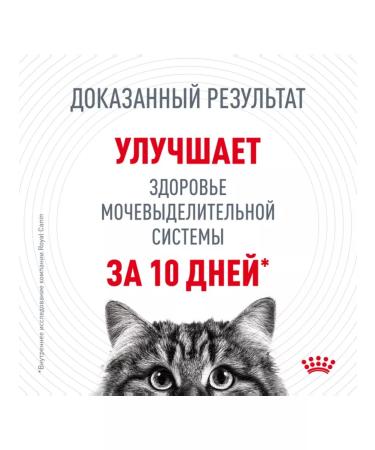 ROYAL CANIN Cat Form Urinary Care 4 kg - Buy Online on GoSupps.com