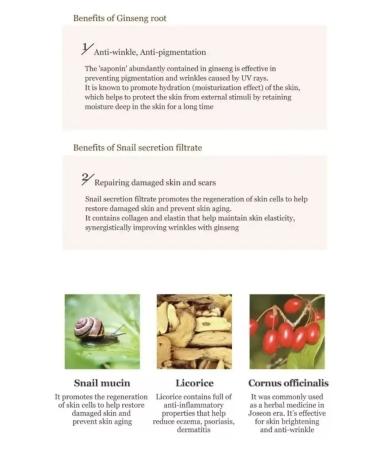 Beauty of Joseon Moisturizer with female and snail - Buy Online on GoSupps.com