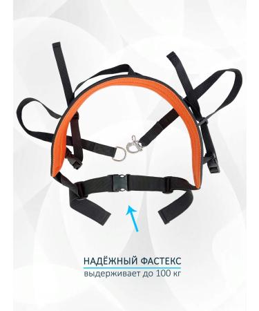 totemworkshop Children's belt for carasse and seizure. Classical. S. - Buy Online on GoSupps.com