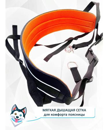 totemworkshop Children's belt for carasse and seizure. Classical. S. - Buy Online on GoSupps.com