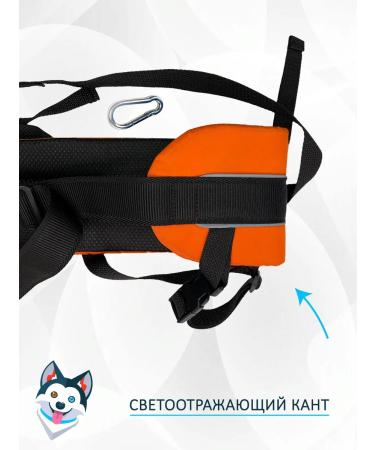 totemicaws Children's belt for the kicar theys and seizure of the orange LITE. S. - Buy Online on GoSupps.com