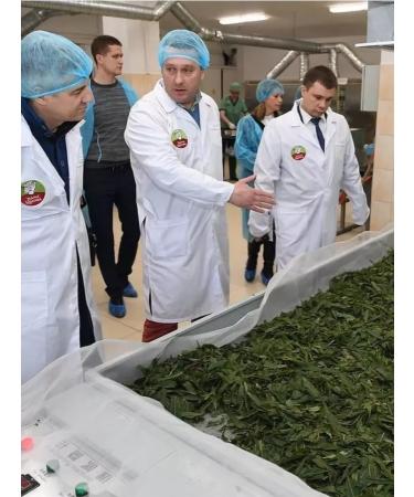 Mama Karelia Ivan-tea Karelian double fermentation pressed - Buy Online on GoSupps.com