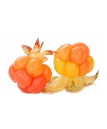 Mama Karelia Ivan-tea Karelsky with clogging 40g - Buy Online on GoSupps.com