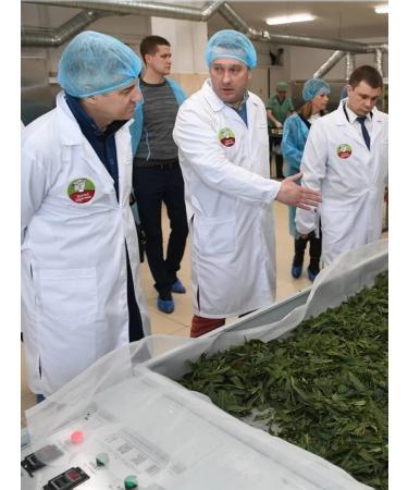 Mama Karelia Ivan-tea with a buggy of double fermentation pressed - Buy Online on GoSupps.com