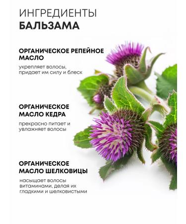 Natura Siberica Children's shampoo and hair balm without tears for girls 1+ - Buy Online on GoSupps.com