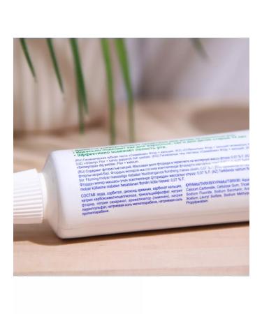 Spring beauty Toothpaste family fluorine - Buy Online on GoSupps.com