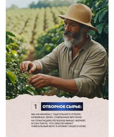 GEORGE Coffee in grains 1 kg Blend - Buy Online on GoSupps.com