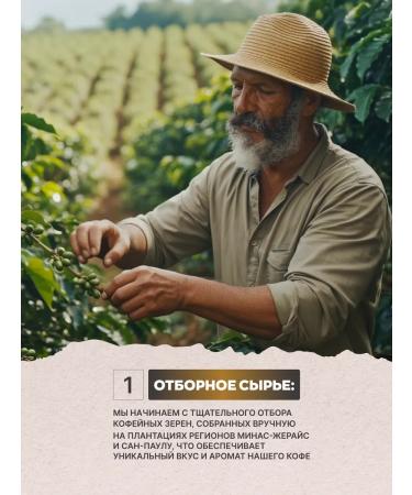 GEORGE Coffee in grains 1 kg of sul-de-mines Arabica Premium - Buy Online on GoSupps.com