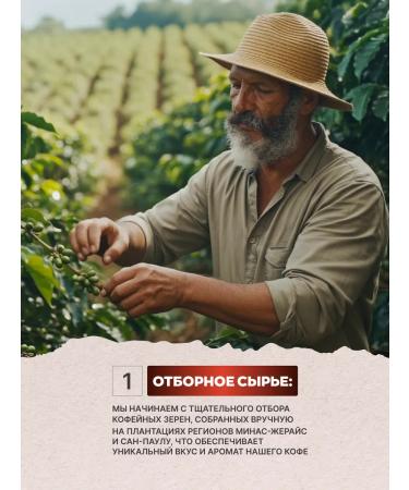 GEORGE Coffee in grains 1 kg Santos - Buy Online on GoSupps.com